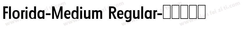 Florida-Medium Regular字体转换
